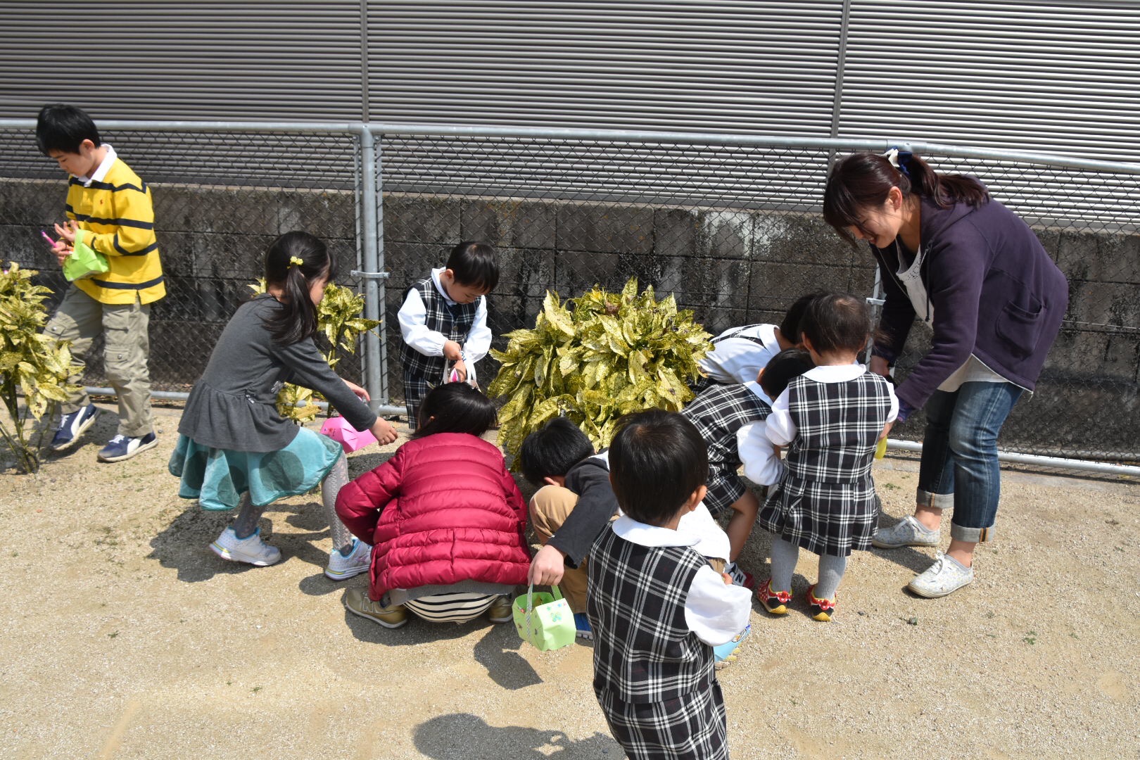 4月の写真7