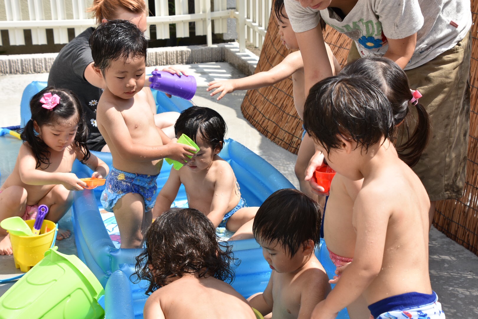 7月の写真15
