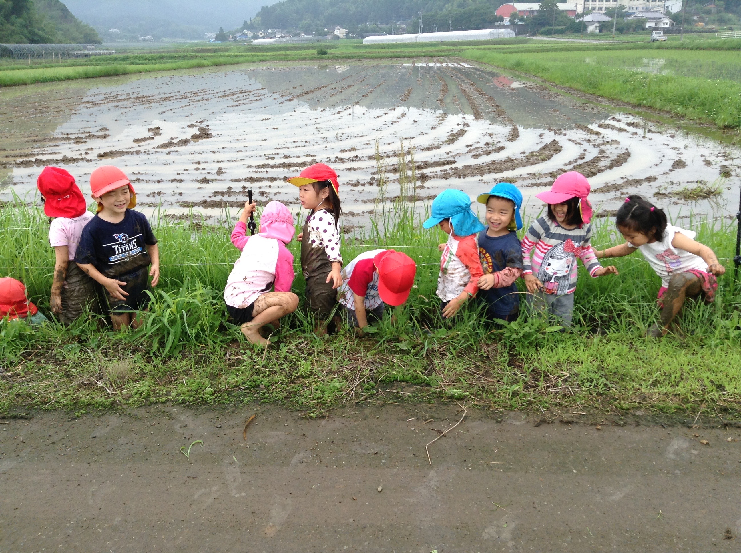 6月の写真5