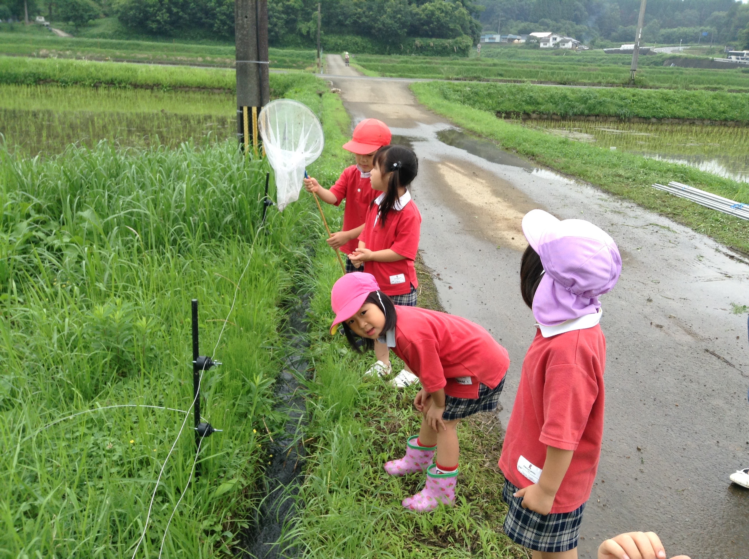 6月の写真6
