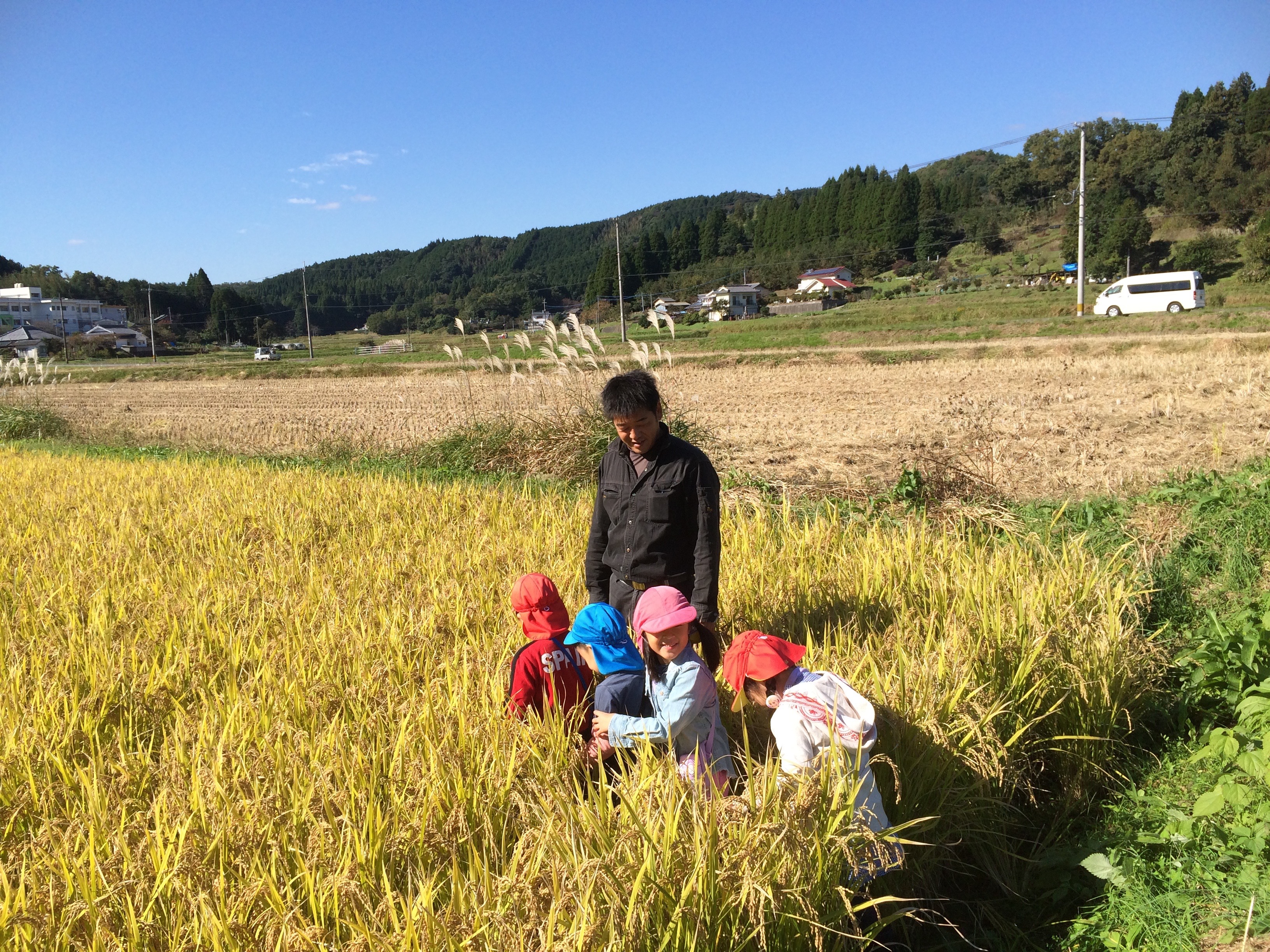 11月の写真1