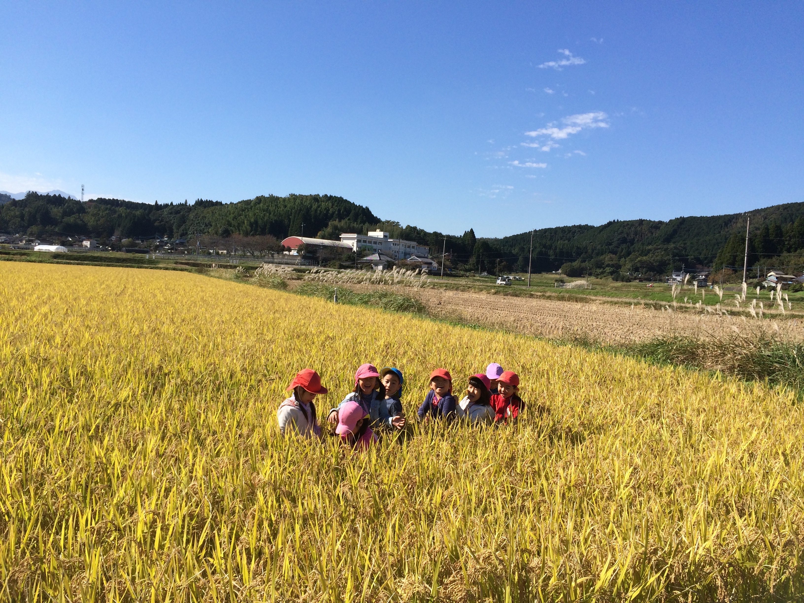 11月の写真2