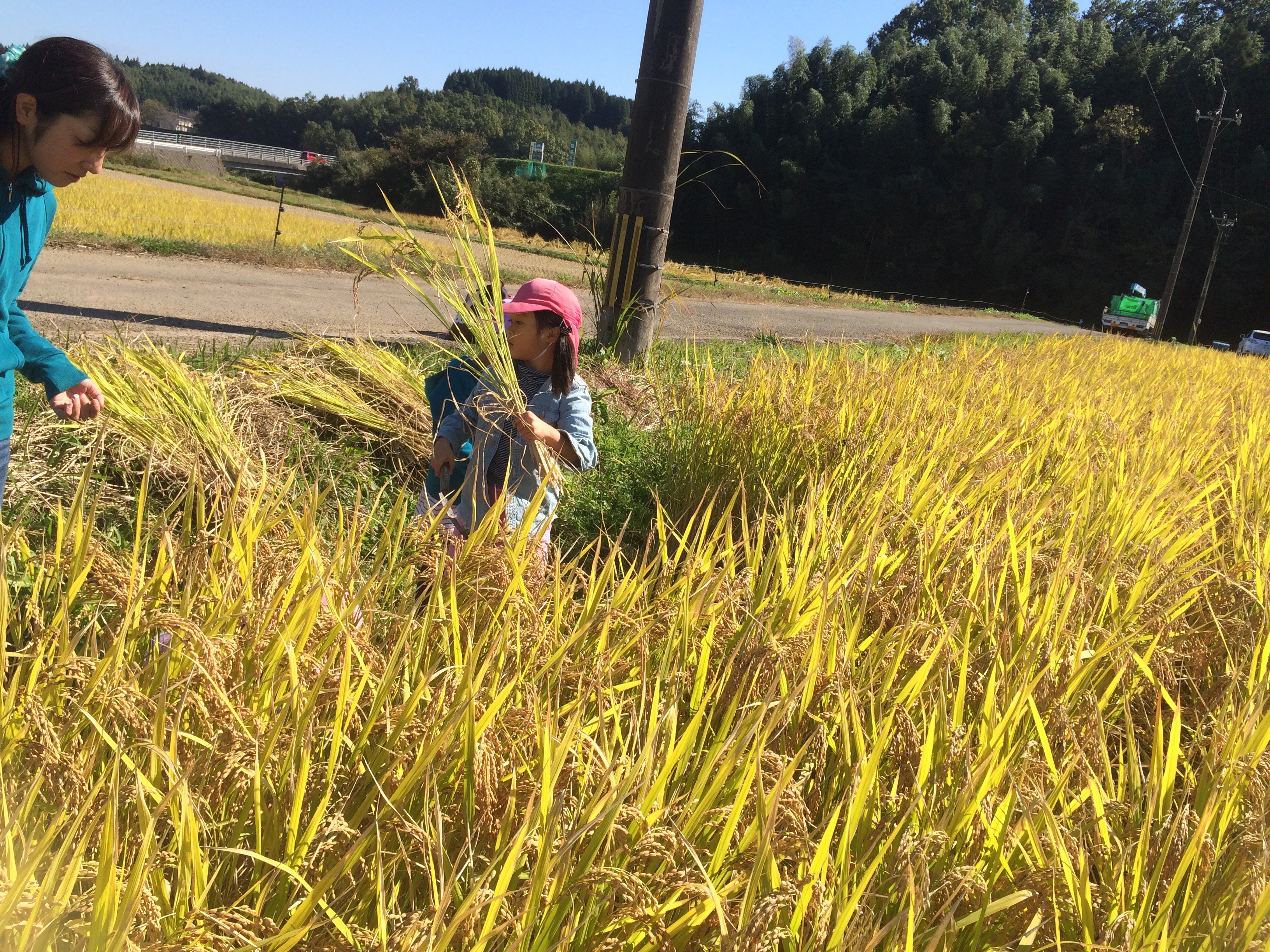 11月の写真3