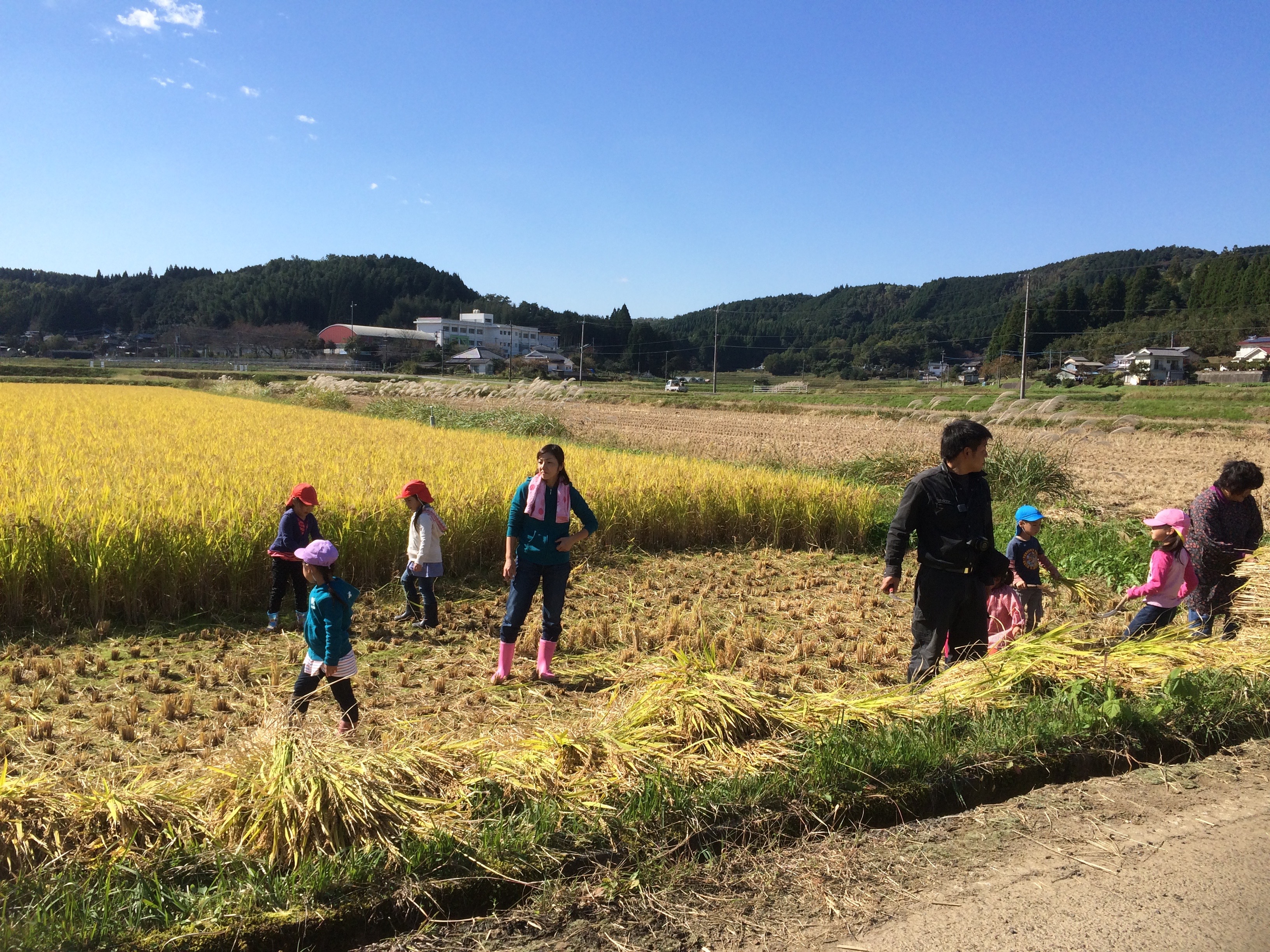 11月の写真4