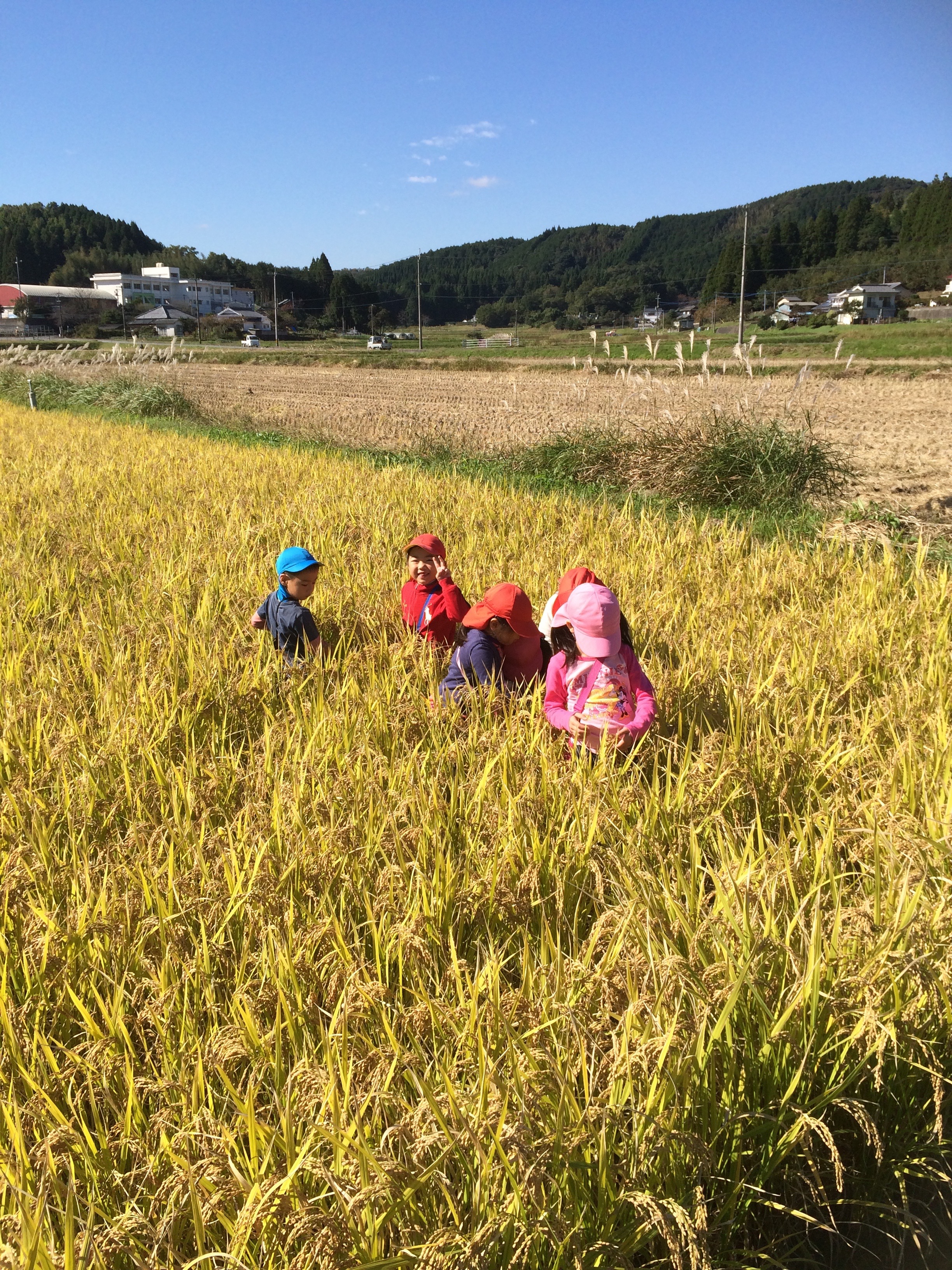 11月の写真6